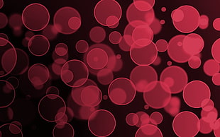 red and black polka dot wallpaper